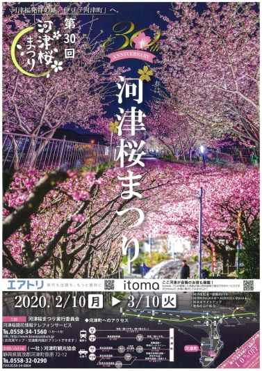 河津桜まつり　開催中
